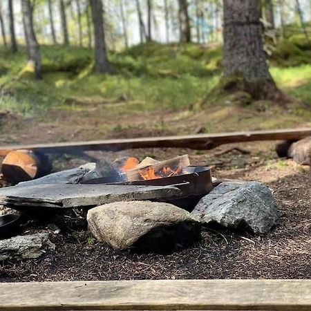 Treetop Ekne - Hytte I Skogen Med Hengebru Hotel Levanger Ngoại thất bức ảnh