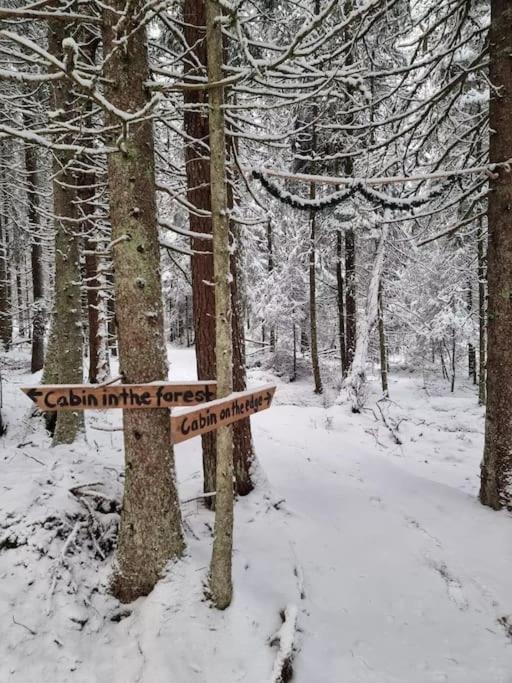 Treetop Ekne - Hytte I Skogen Med Hengebru Hotel Levanger Ngoại thất bức ảnh