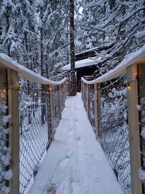 Treetop Ekne - Hytte I Skogen Med Hengebru Hotel Levanger Ngoại thất bức ảnh