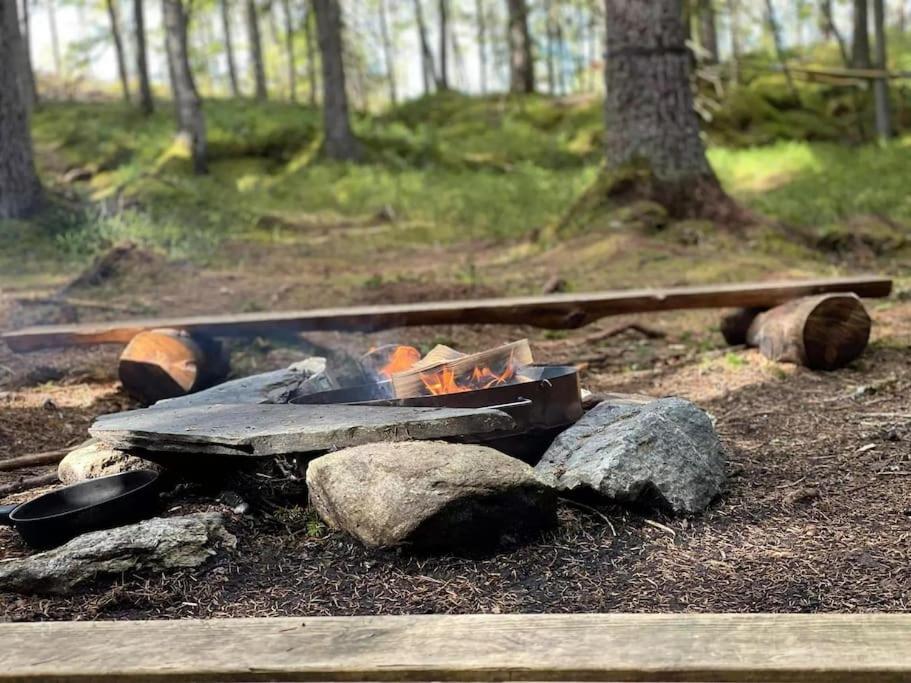 Treetop Ekne - Hytte I Skogen Med Hengebru Hotel Levanger Ngoại thất bức ảnh