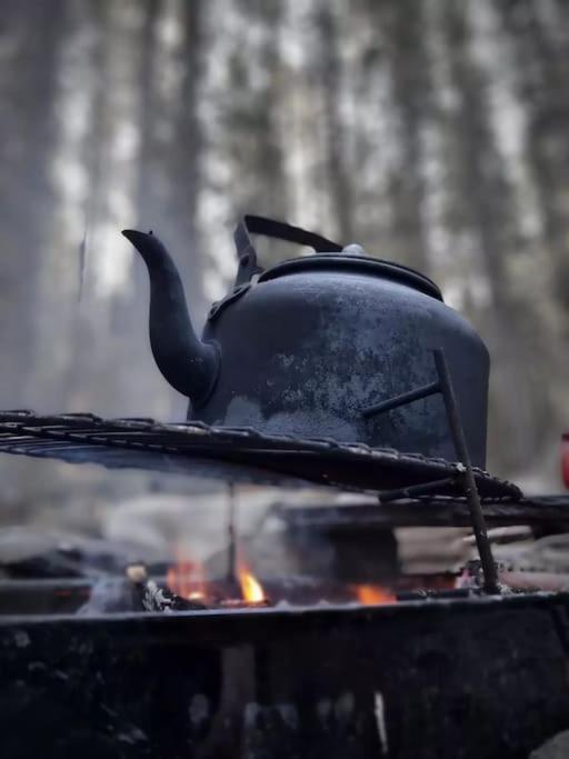 Treetop Ekne - Hytte I Skogen Med Hengebru Hotel Levanger Ngoại thất bức ảnh