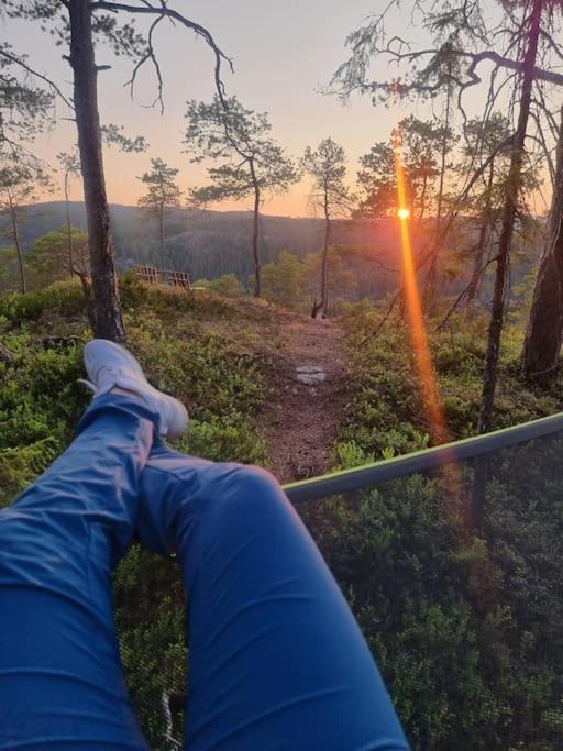 Treetop Ekne - Hytte I Skogen Med Hengebru Hotel Levanger Ngoại thất bức ảnh