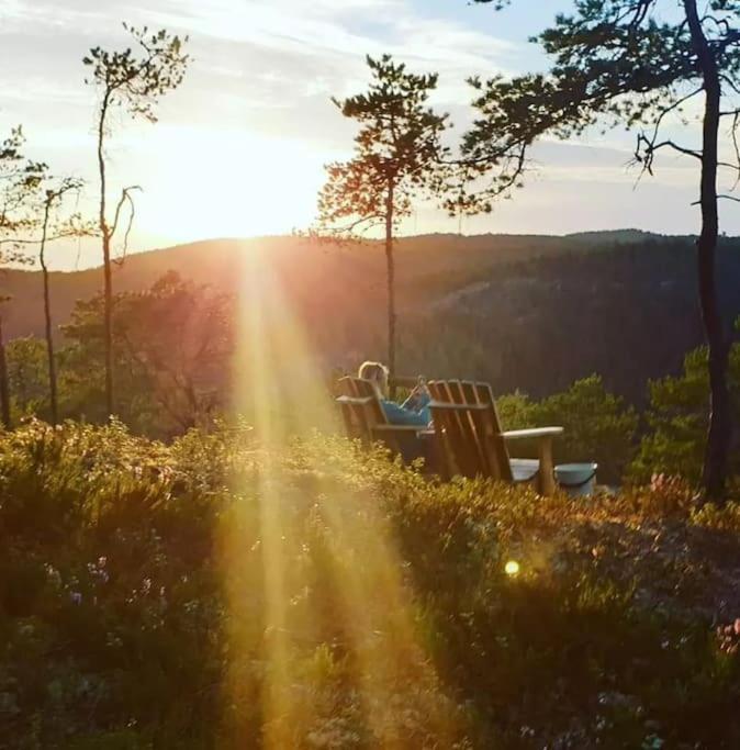 Treetop Ekne - Hytte I Skogen Med Hengebru Hotel Levanger Ngoại thất bức ảnh