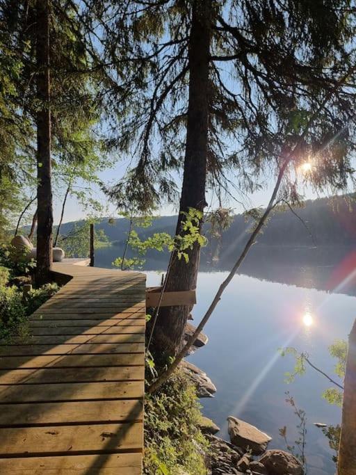 Treetop Ekne - Hytte I Skogen Med Hengebru Hotel Levanger Ngoại thất bức ảnh