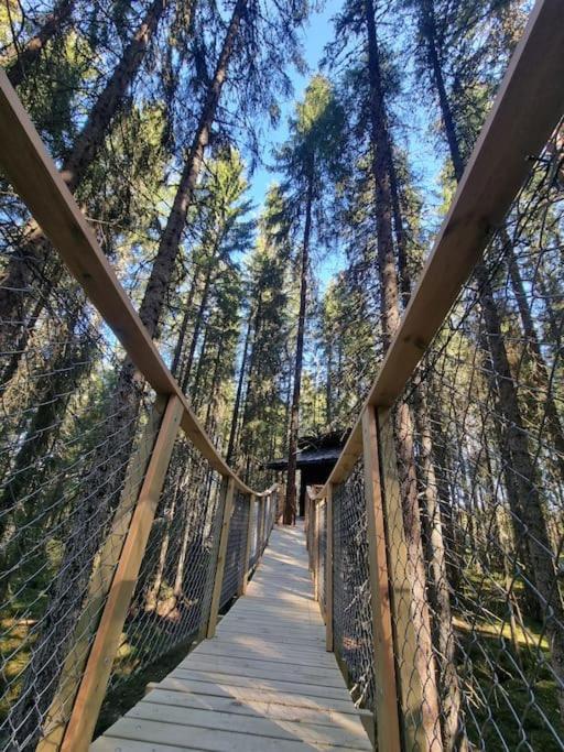 Treetop Ekne - Hytte I Skogen Med Hengebru Hotel Levanger Ngoại thất bức ảnh