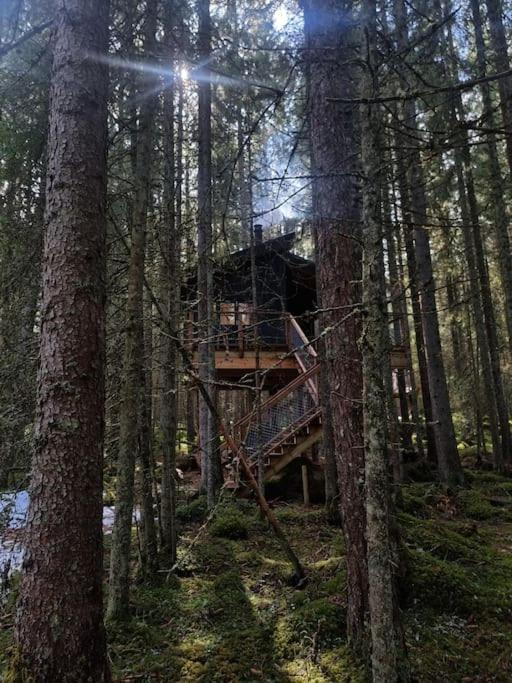 Treetop Ekne - Hytte I Skogen Med Hengebru Hotel Levanger Ngoại thất bức ảnh