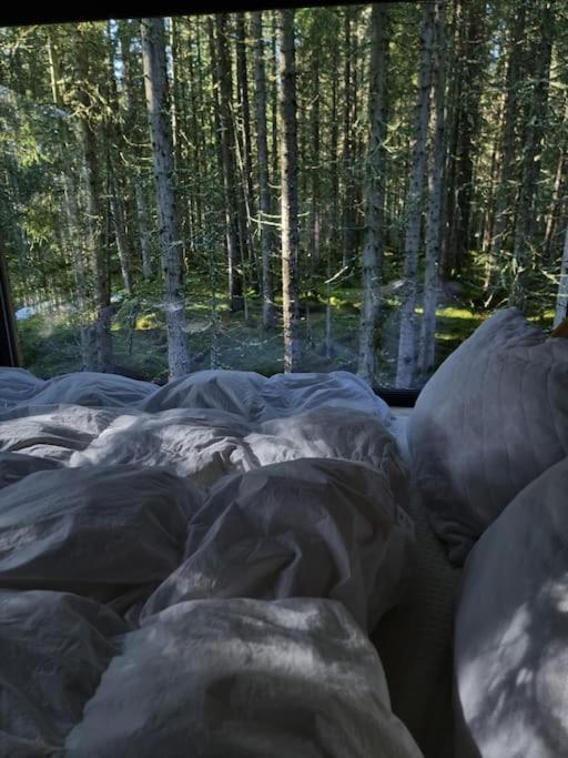Treetop Ekne - Hytte I Skogen Med Hengebru Hotel Levanger Ngoại thất bức ảnh