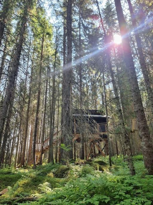 Treetop Ekne - Hytte I Skogen Med Hengebru Hotel Levanger Ngoại thất bức ảnh