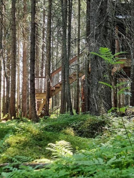 Treetop Ekne - Hytte I Skogen Med Hengebru Hotel Levanger Ngoại thất bức ảnh